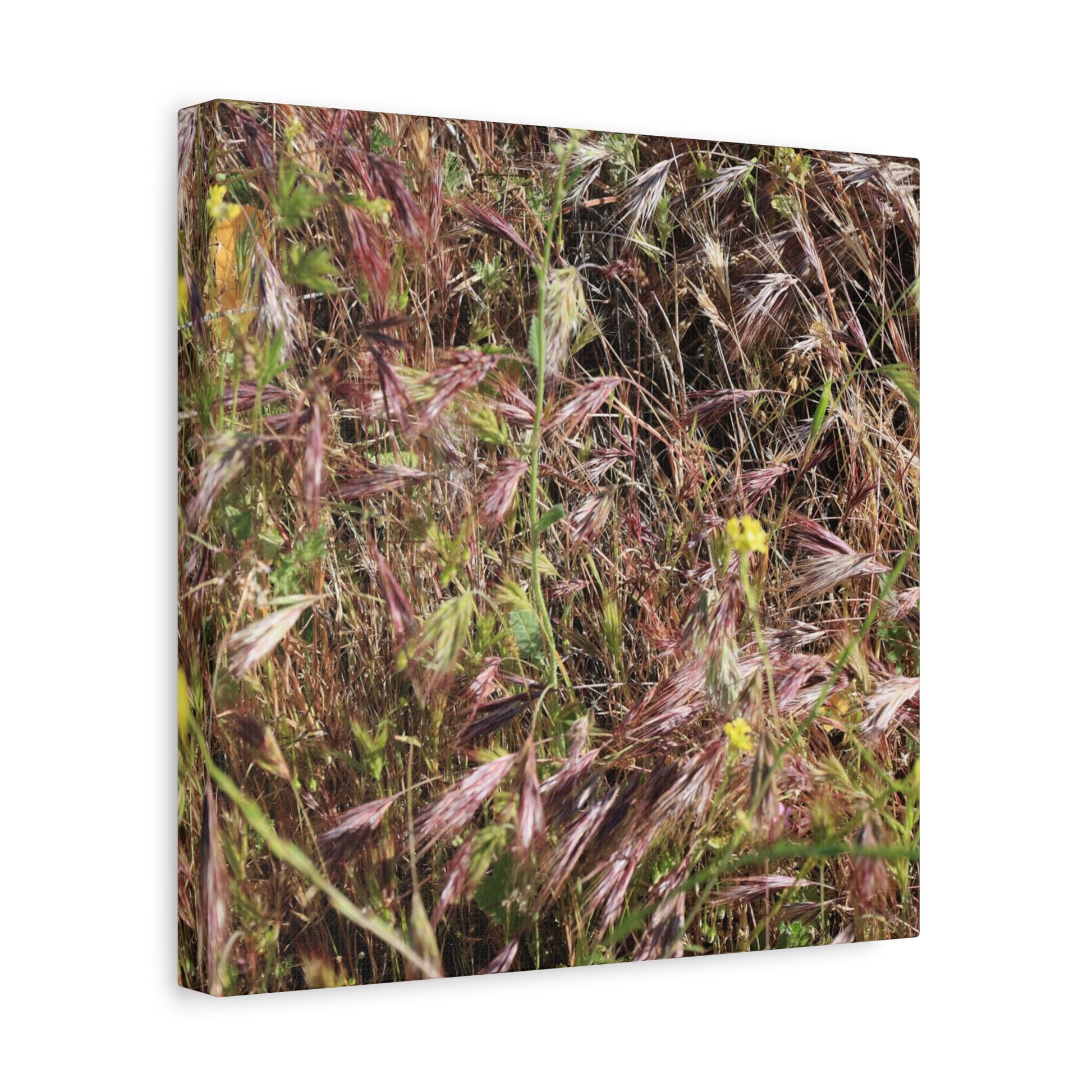 Autumn Wildflower Meadow in Transition - Unique Frameless Canvas Wall Art - Art By Earth