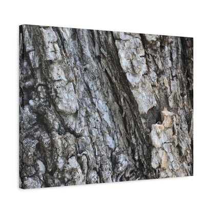Nature's Rough Embrace - Unique Frameless Canvas Wall Art - Art By Earth
