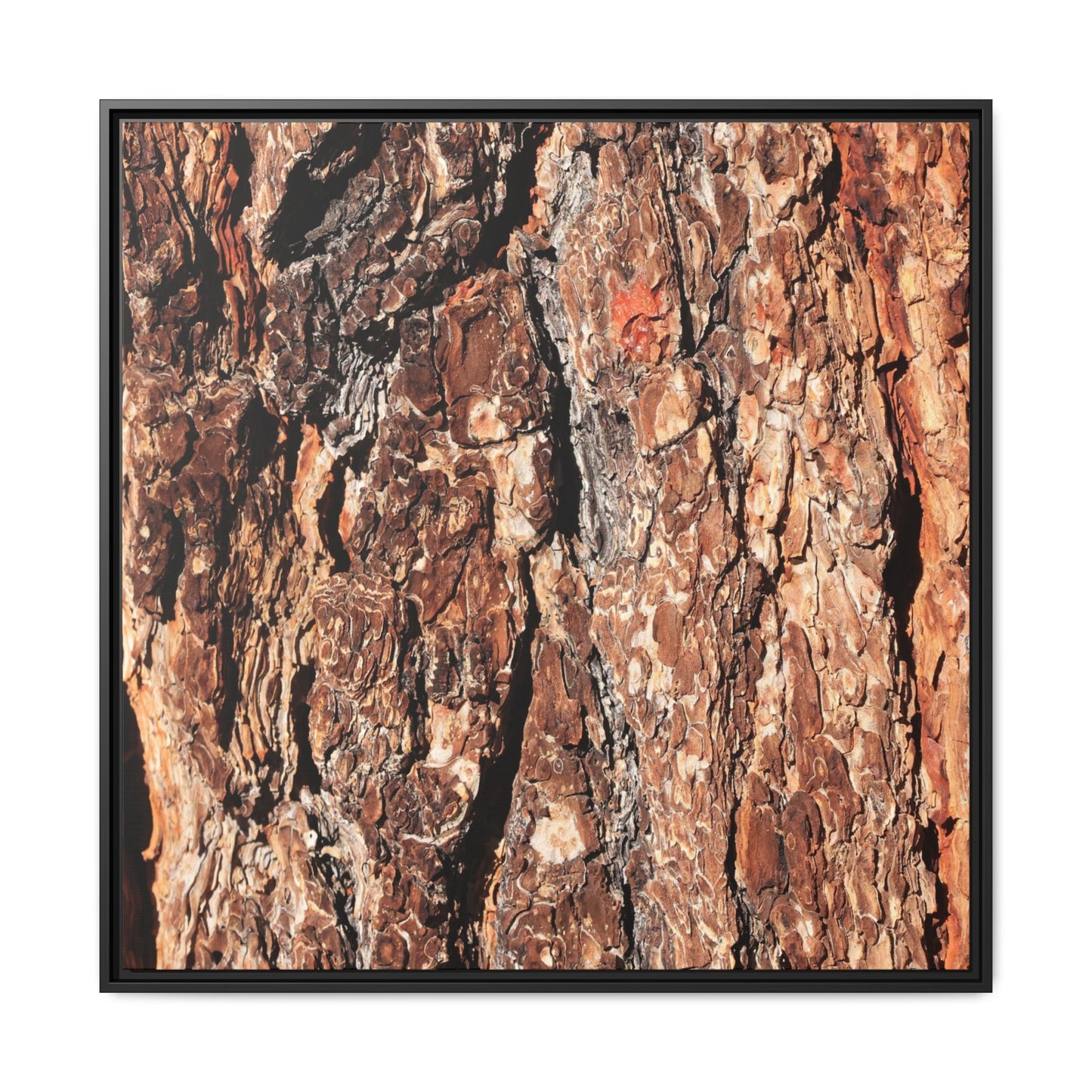 Nature's Rugged Canvas - Unique Stretched Canvas Wall Art