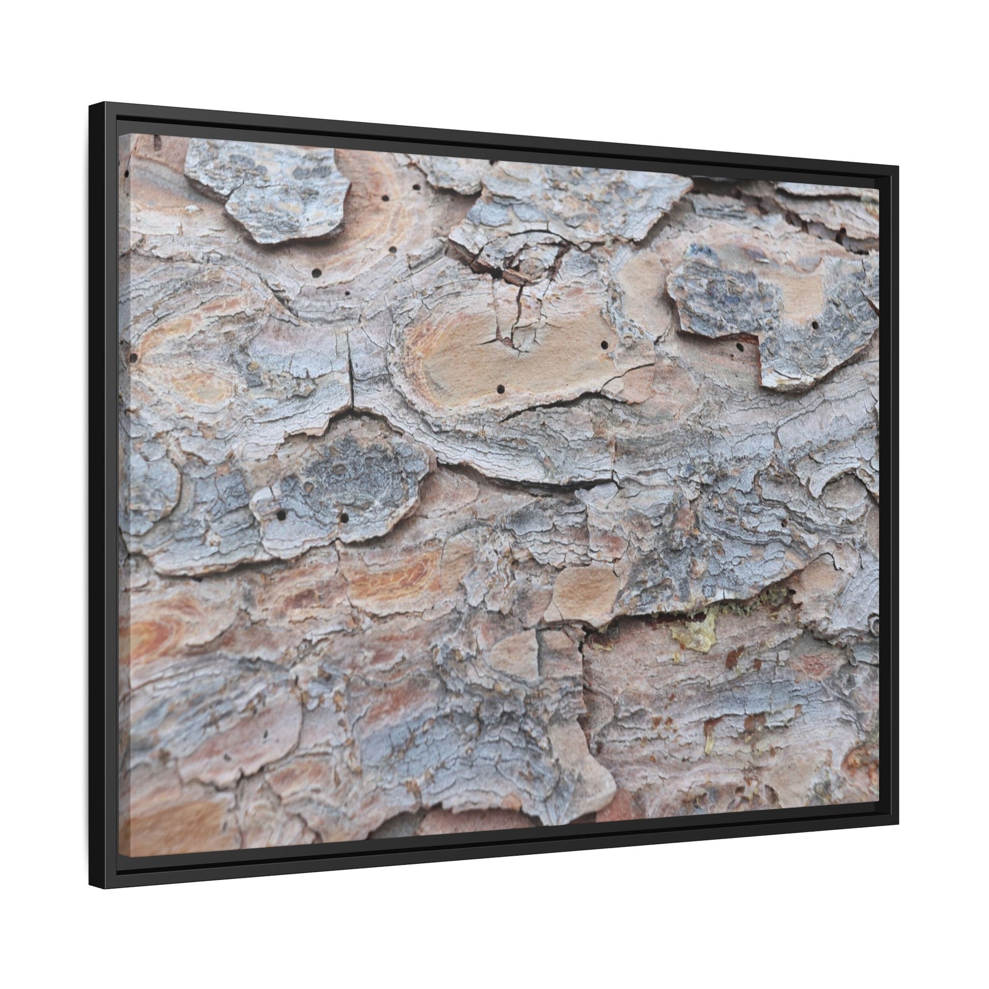 Peeling Memories - Unique Stretched Canvas Wall Art - Art By Earth