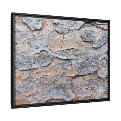 Peeling Memories - Unique Stretched Canvas Wall Art - Art By Earth