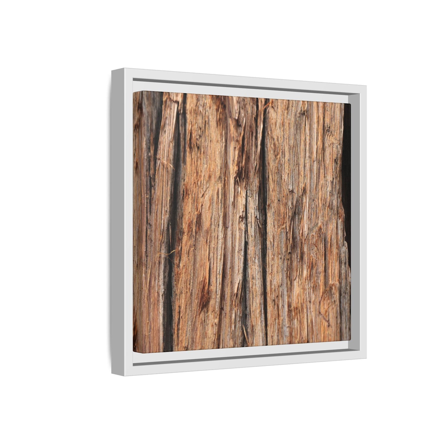 Timber Echoes - Unique Stretched Canvas Wall Art - Art By Earth