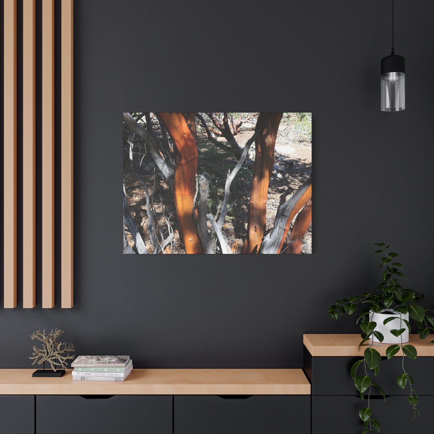 Peeling Bark of Ancient Trees - Unique Frameless Canvas Wall Art