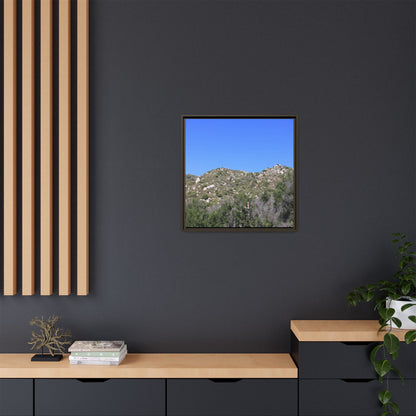 Sparse Vegetation - Unique Stretched Canvas Wall Art