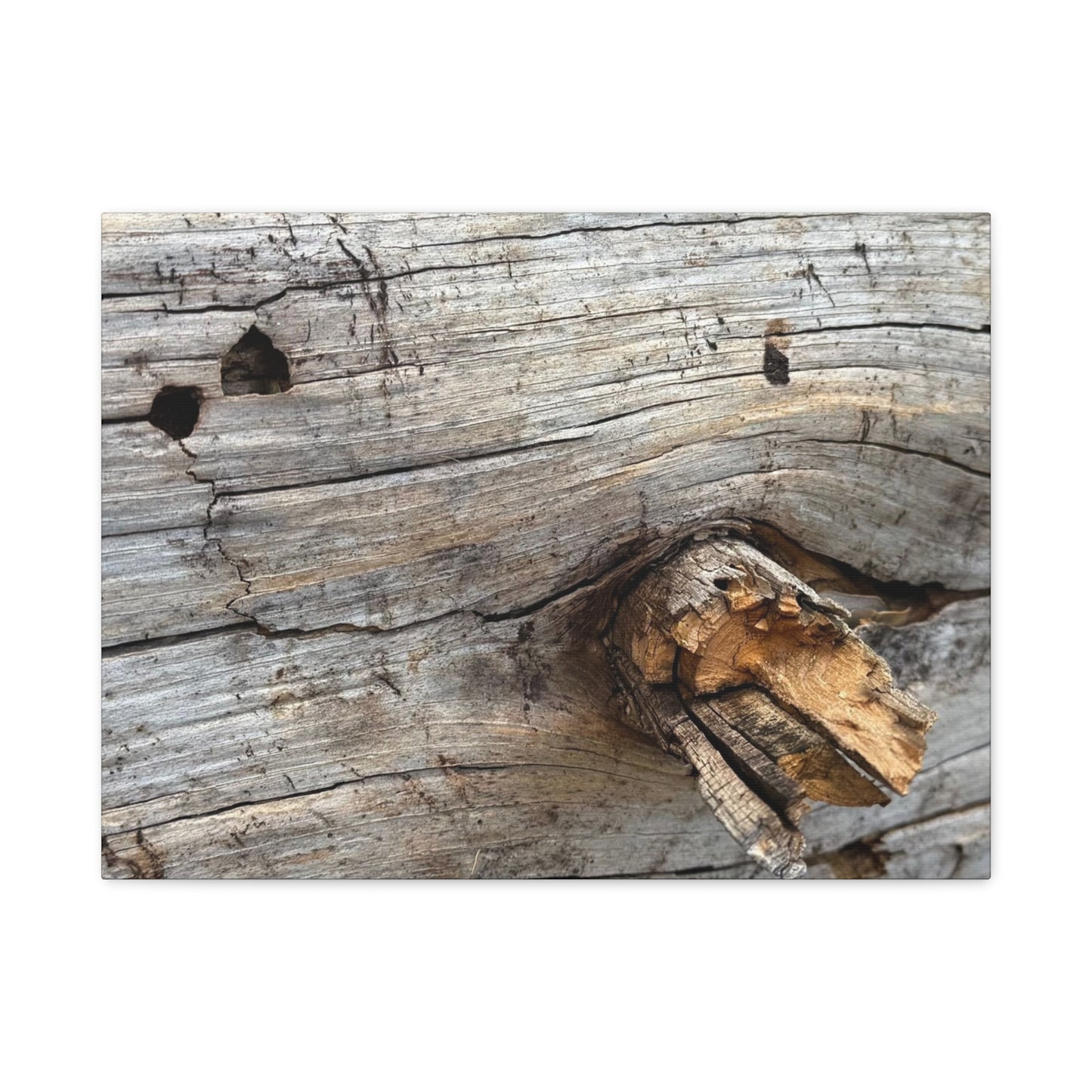 Weathered Wood Portrait - Unique Frameless Canvas Wall Art - Art By Earth