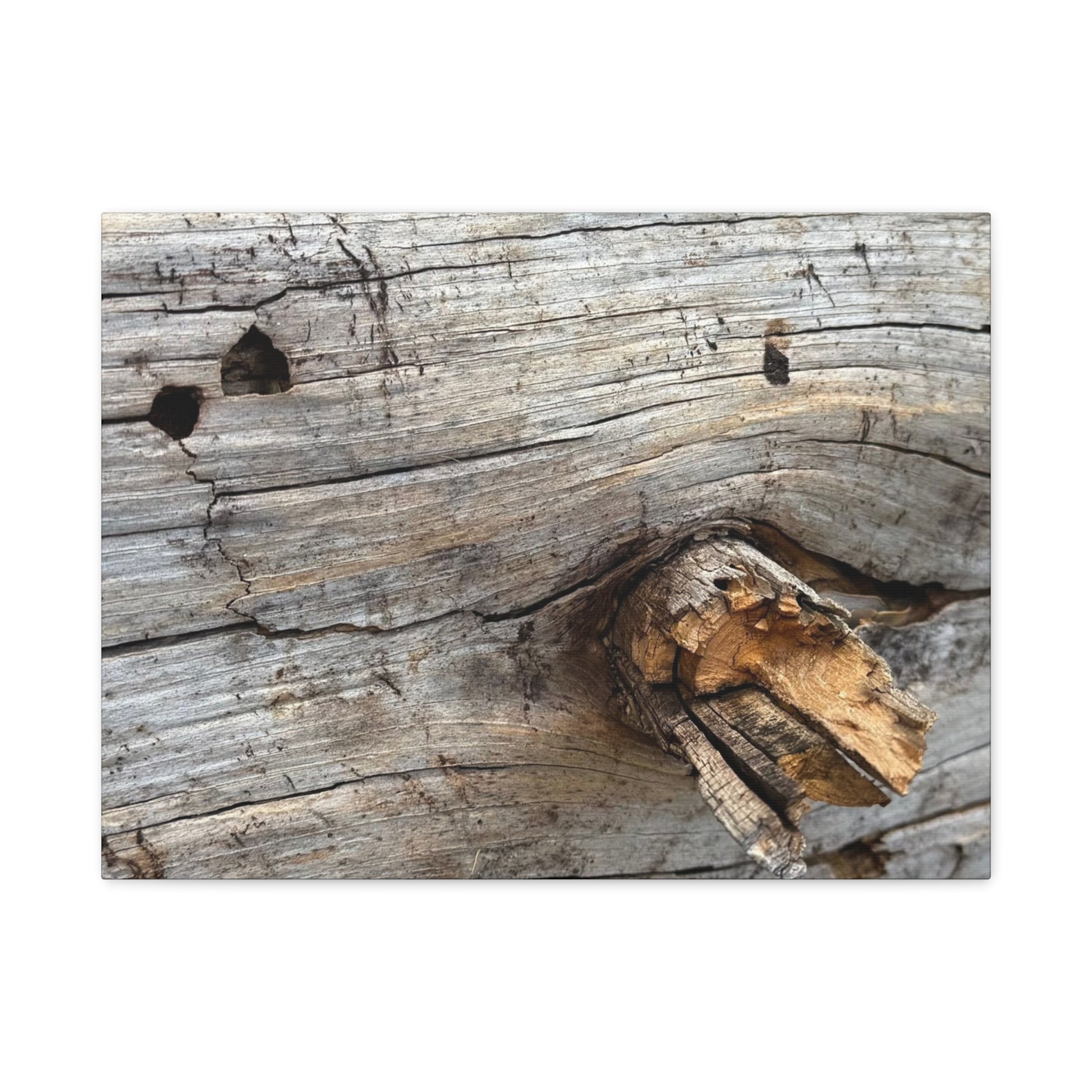 Weathered Wood Portrait - Unique Frameless Canvas Wall Art - Art By Earth