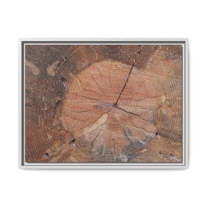 Concentric Memories - Unique Stretched Canvas Wall Art - Art By Earth