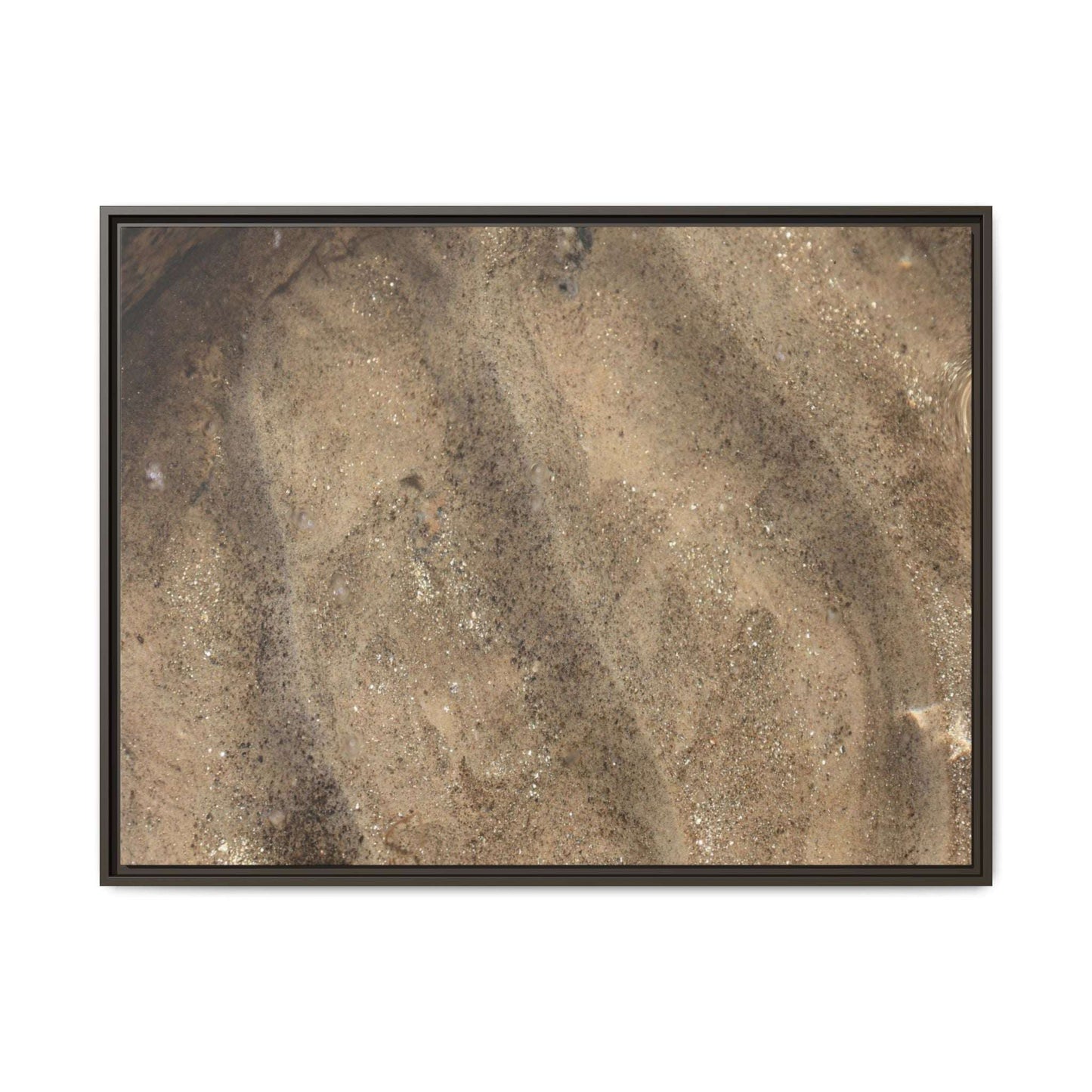 Tidal Pool Secrets - Unique Stretched Canvas Wall Art - Art By Earth