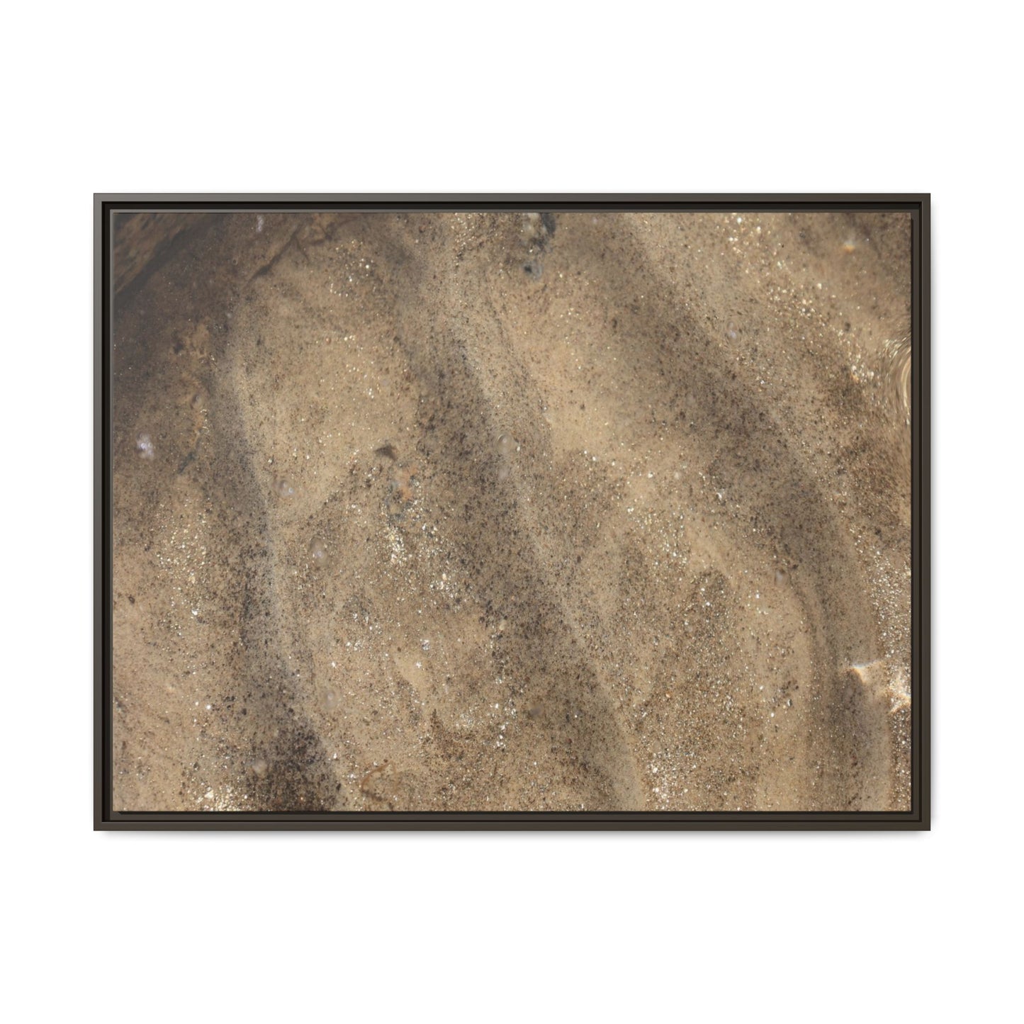 Tidal Pool Secrets - Unique Stretched Canvas Wall Art - Art By Earth