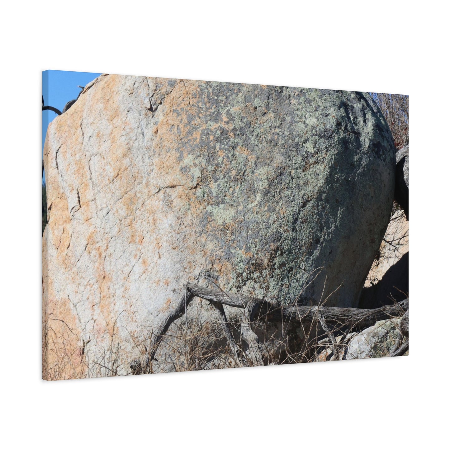 Boulder's Solitude - Unique Stretched Canvas Wall Art - Art By Earth