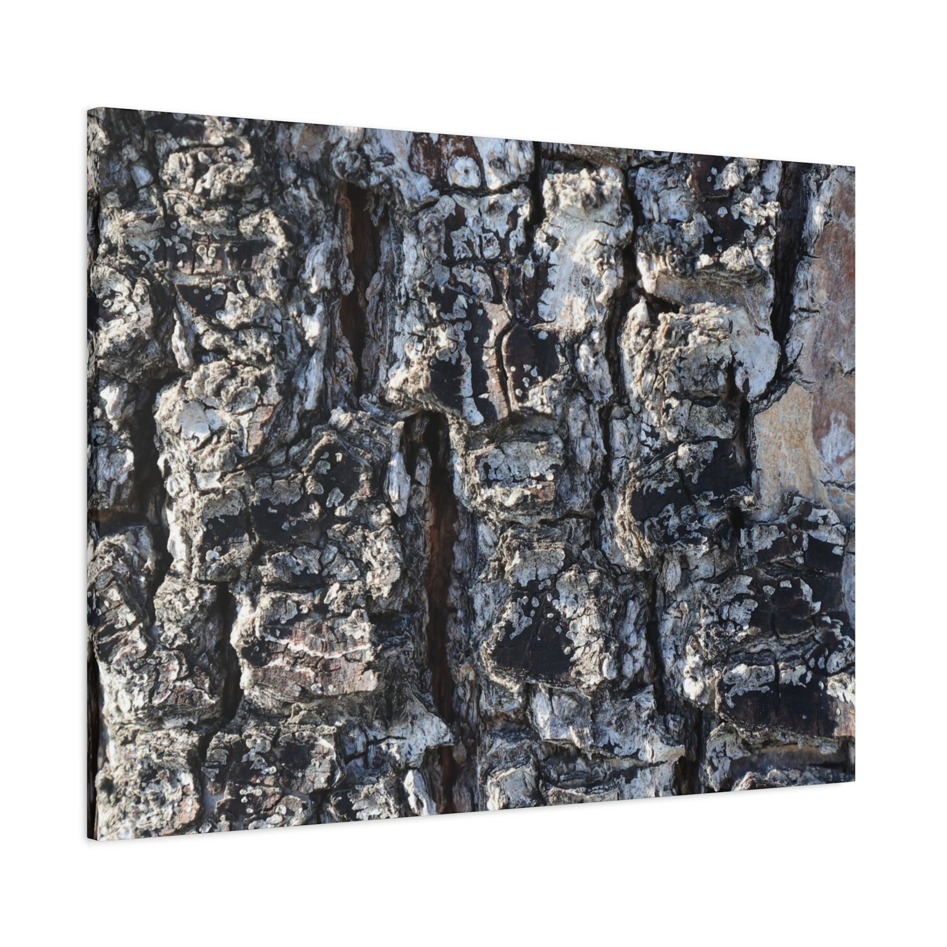 Textured Whispers of the Ancient Tree - Unique Frameless Canvas Wall Art - Art By Earth