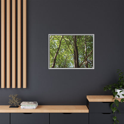 Forest Branches - Unique Stretched Canvas Wall Art