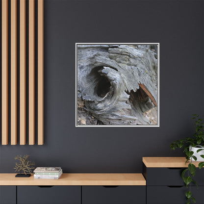 Bark's Labyrinth - Unique Stretched Canvas Wall Art - Art By Earth