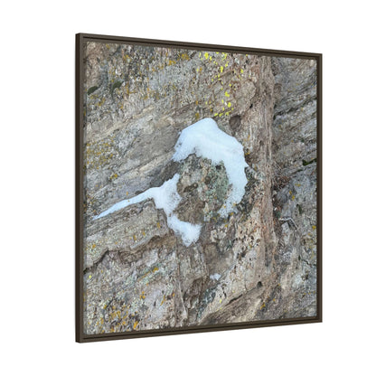 Lichen's Embrace - Unique Stretched Canvas Wall Art