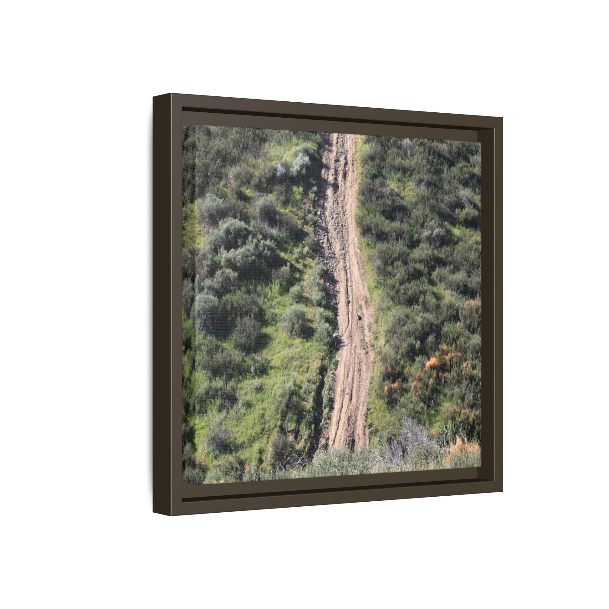 Desert Path Through Sage - Unique Stretched Canvas Wall Art - Art By Earth