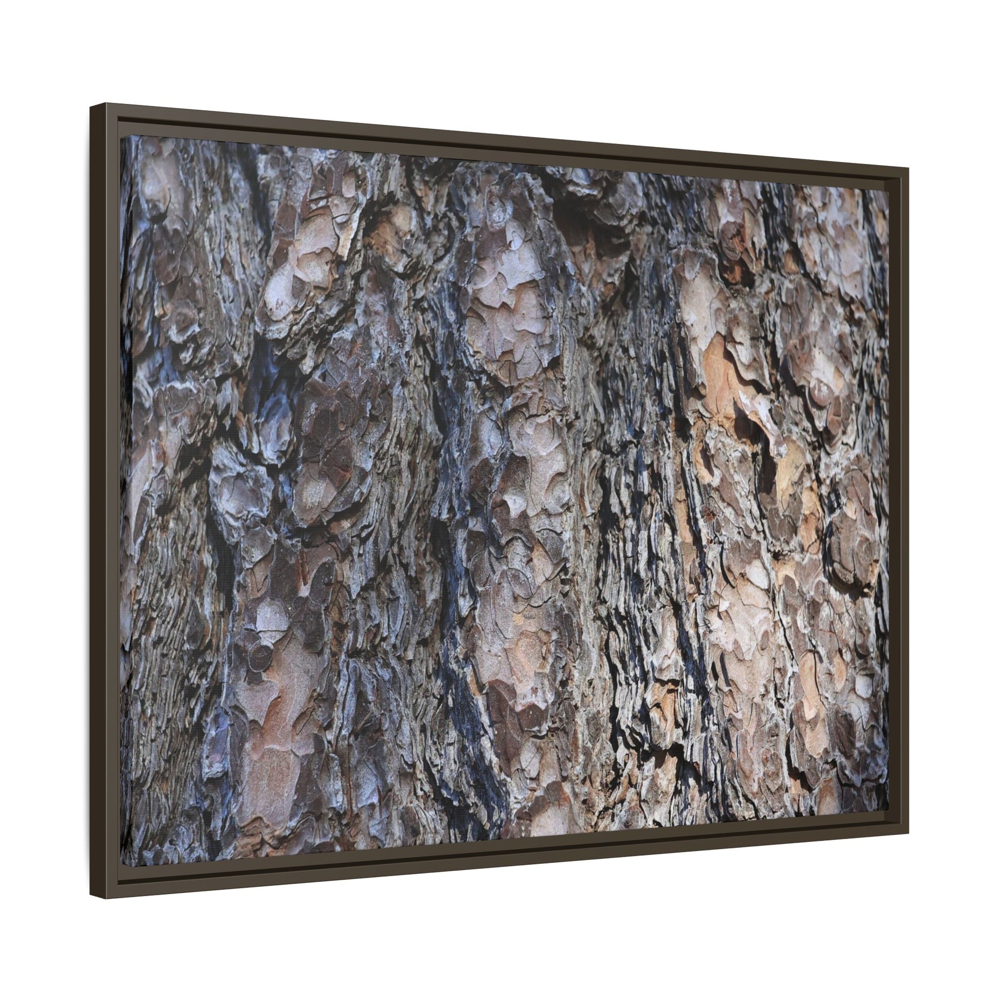 Weathered Patterns - Unique Stretched Canvas Wall Art - Art By Earth