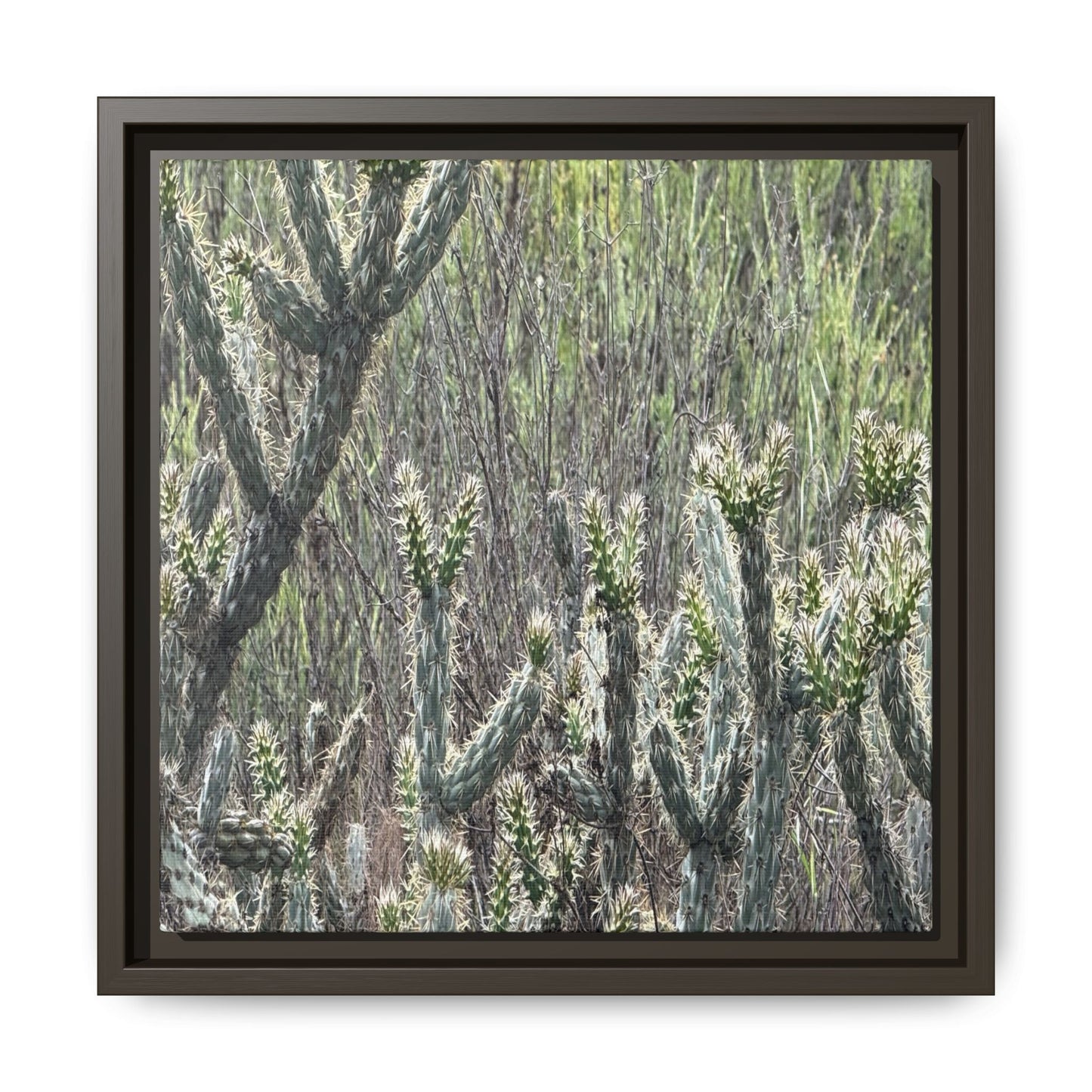 Prickly Paradise - Unique Stretched Canvas Wall Art - Art By Earth