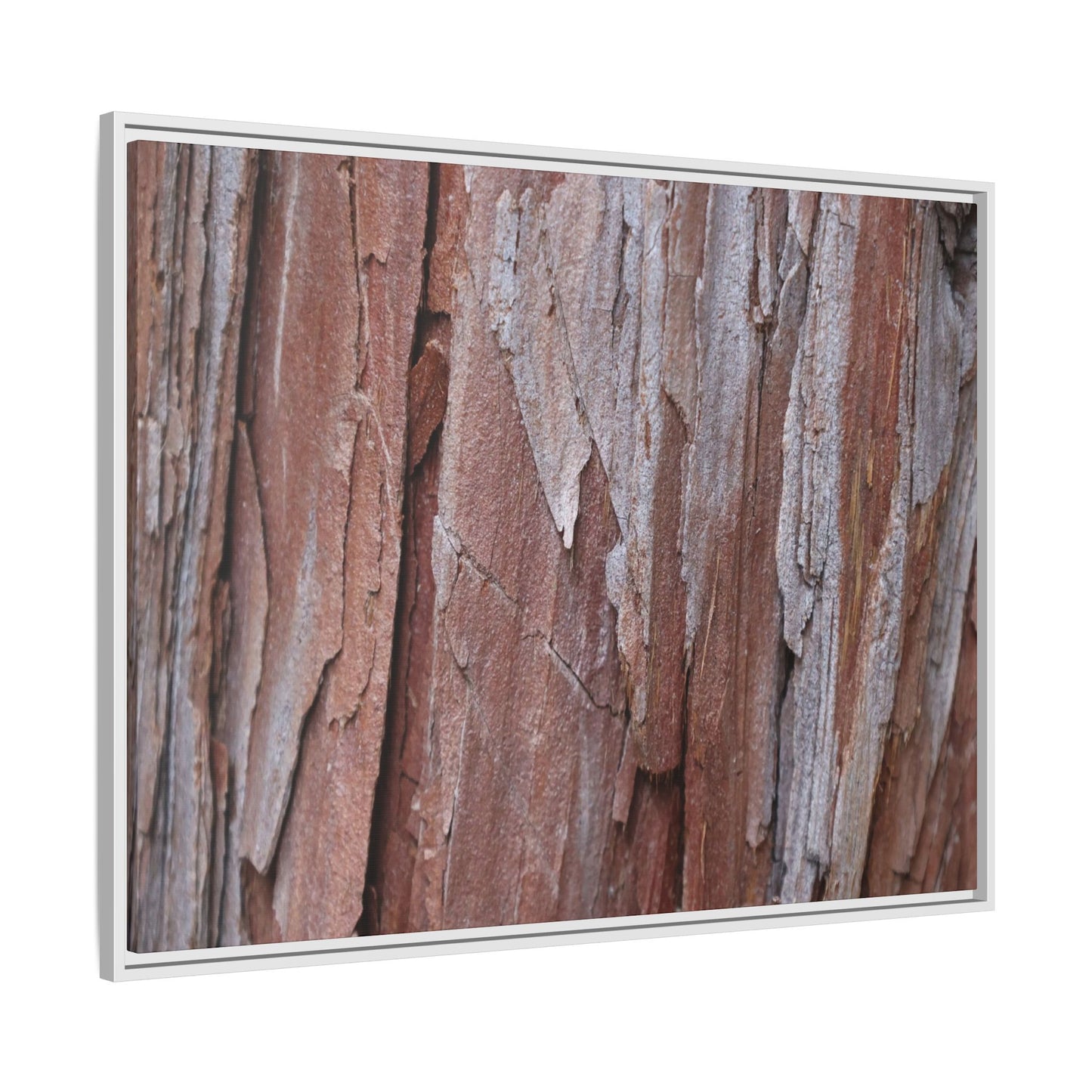 Time and Decay - Unique Stretched Canvas Wall Art - Art By Earth