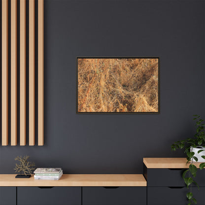 Dried Vegetation Study - Unique Stretched Canvas Wall Art - Art By Earth