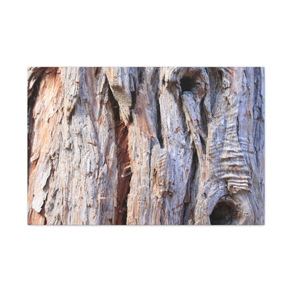 Aged Bark Surface - Unique Frameless Canvas Wall Art - Art By Earth