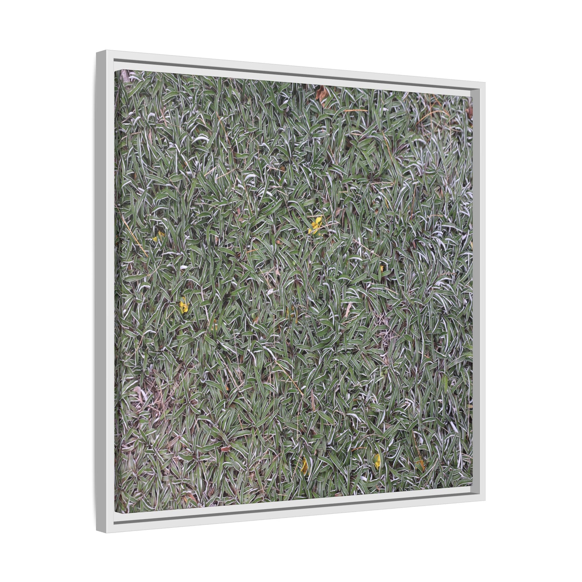 Grassy Texture - Unique Stretched Canvas Wall Art - Art By Earth
