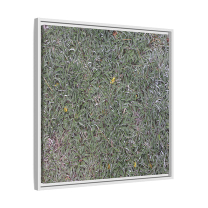 Grassy Texture - Unique Stretched Canvas Wall Art - Art By Earth