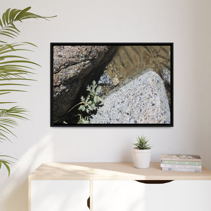 Resilience in Stone - Unique Stretched Canvas Wall Art - Art By Earth