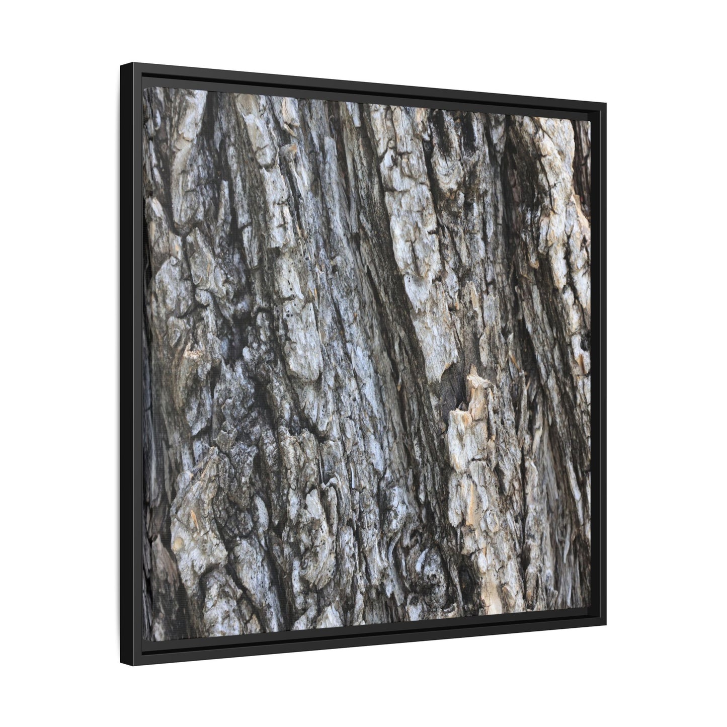 Twisted Textures - Unique Stretched Canvas Wall Art - Art By Earth
