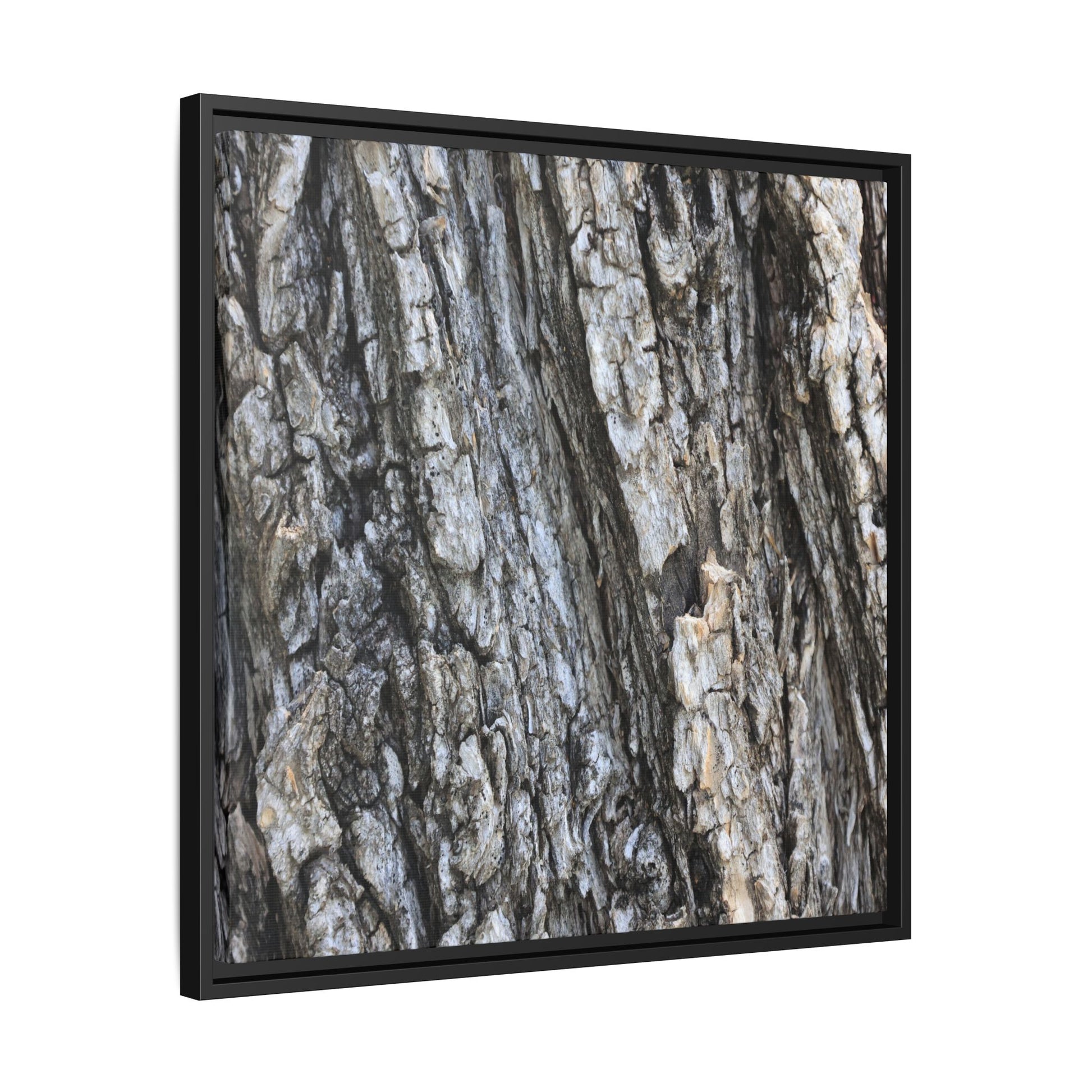 Twisted Textures - Unique Stretched Canvas Wall Art - Art By Earth