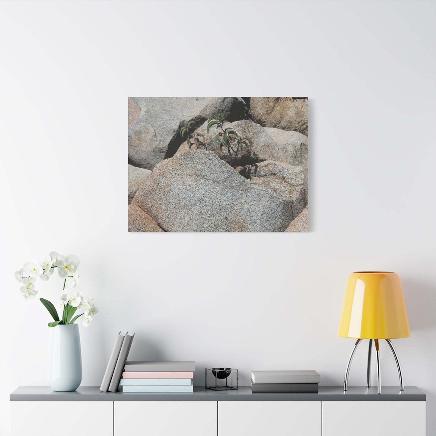 Desert Plant Survives - Unique Frameless Canvas Wall Art