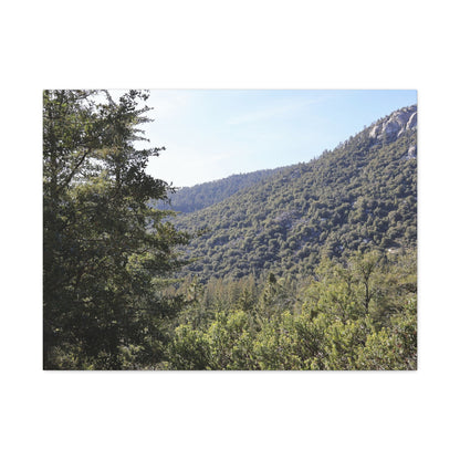 Mountain Vista Through Forest - Unique Frameless Canvas Wall Art