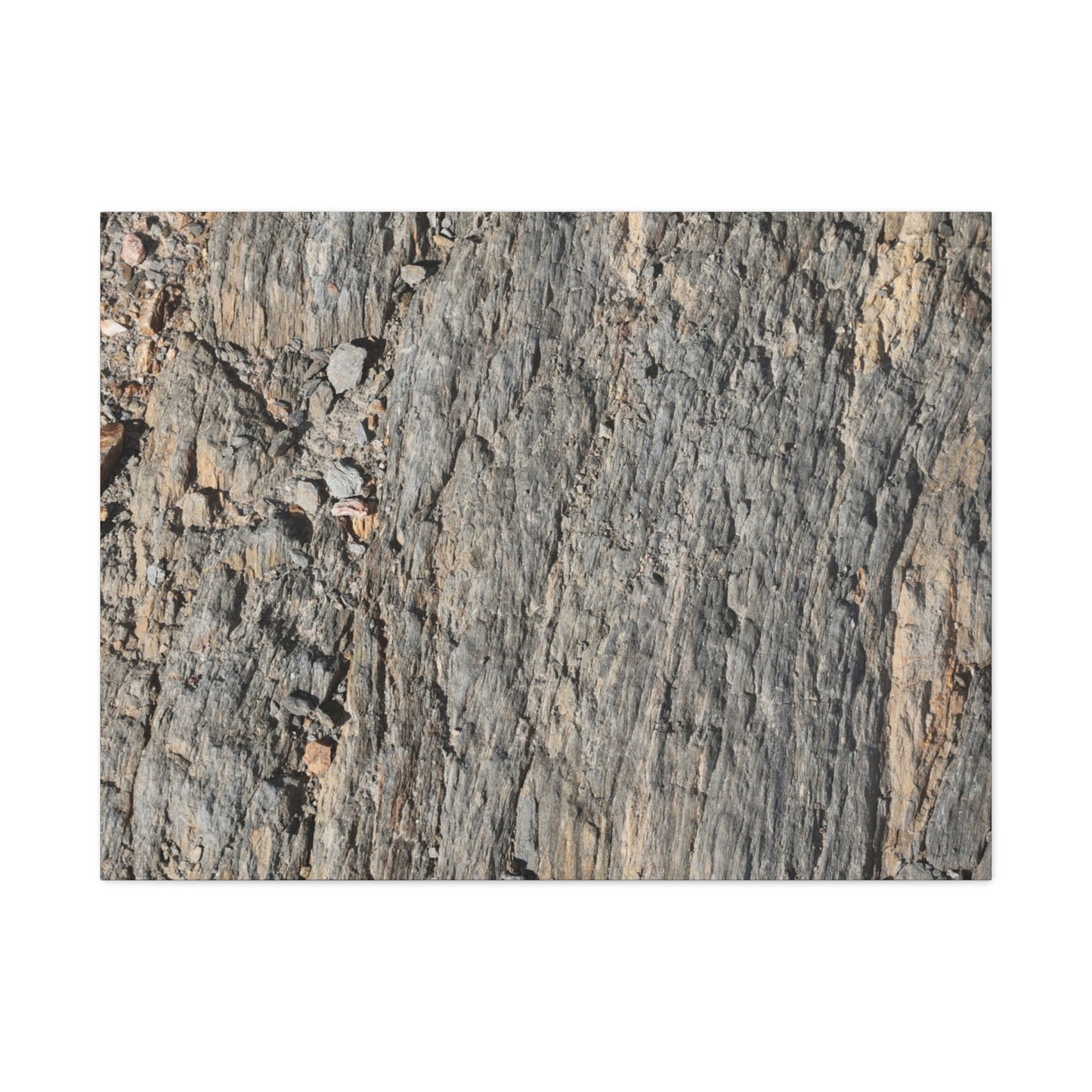 Bark Echoes - Unique Frameless Canvas Wall Art - Art By Earth