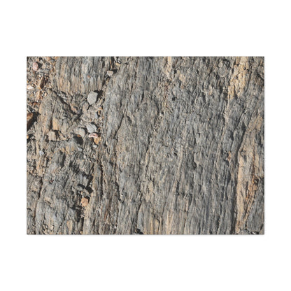 Bark Echoes - Unique Frameless Canvas Wall Art - Art By Earth