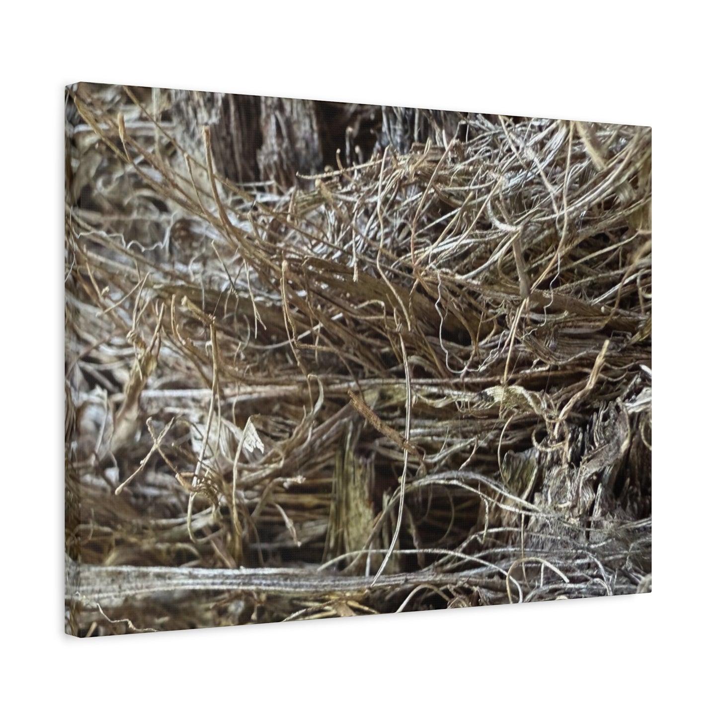 Whispers in Dry Grass - Unique Frameless Canvas Wall Art - Art By Earth