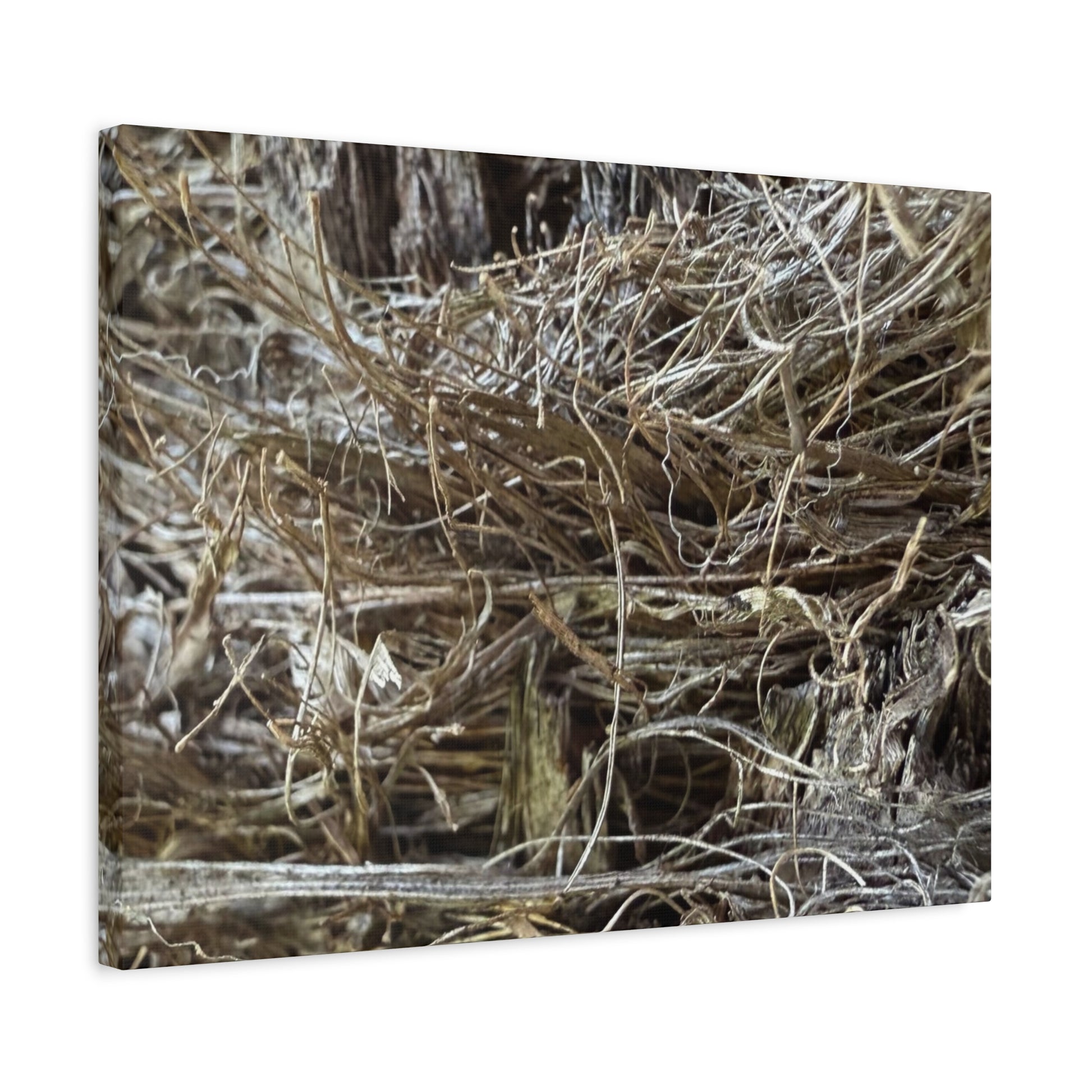 Whispers in Dry Grass - Unique Frameless Canvas Wall Art - Art By Earth