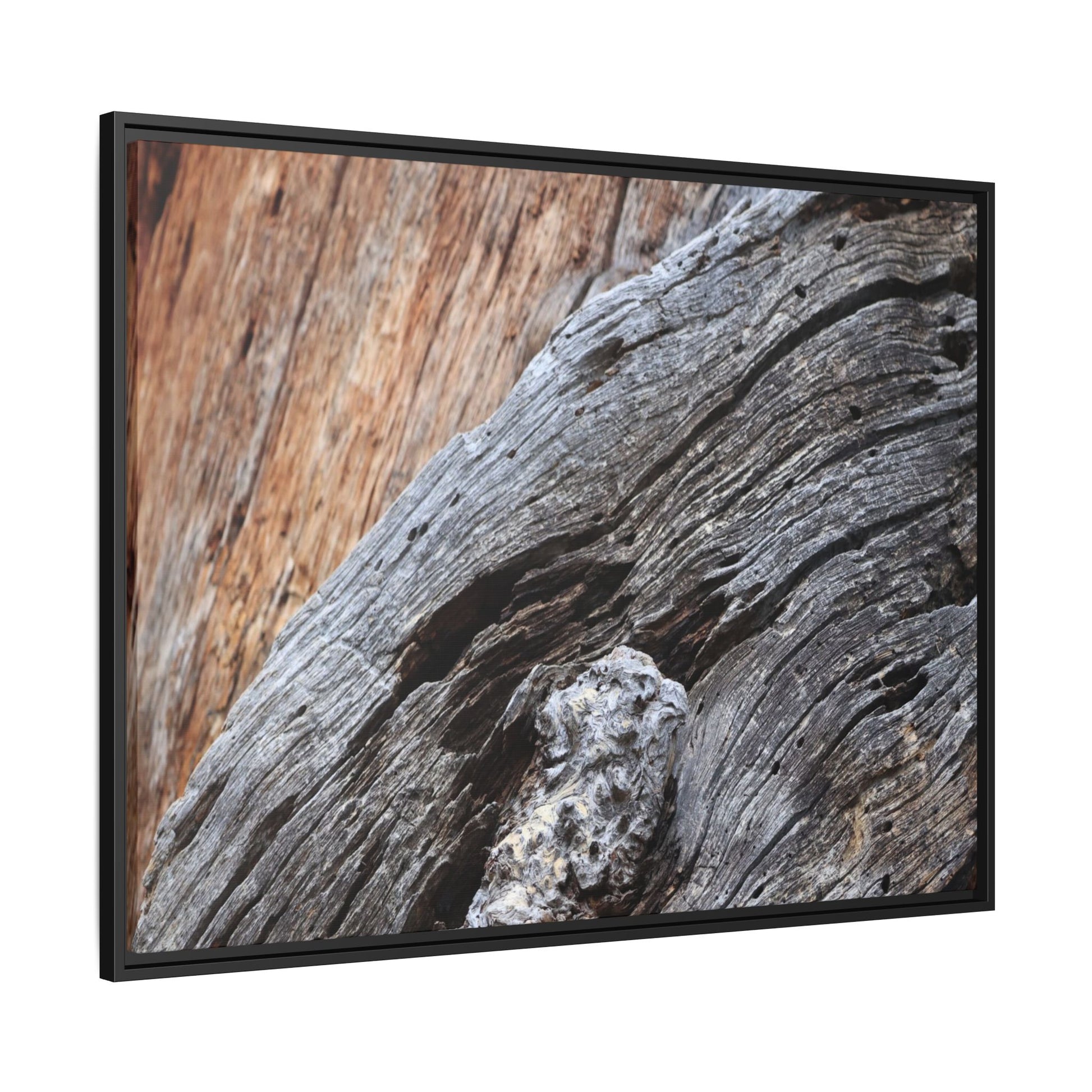 Time's Mark on Timber - Unique Stretched Canvas Wall Art - Art By Earth