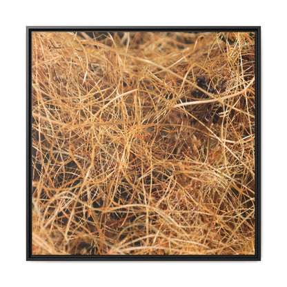 Dried Grass - Unique Stretched Canvas Wall Art - Art By Earth