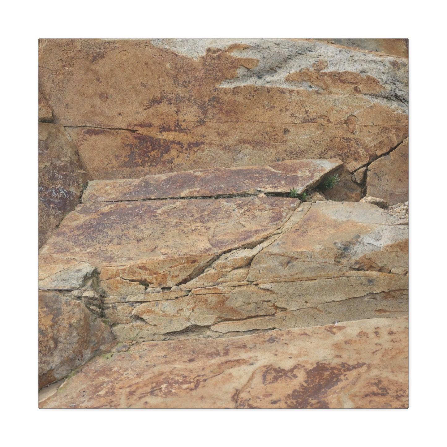 Rocky Terrain - Unique Frameless Canvas Wall Art - Art By Earth