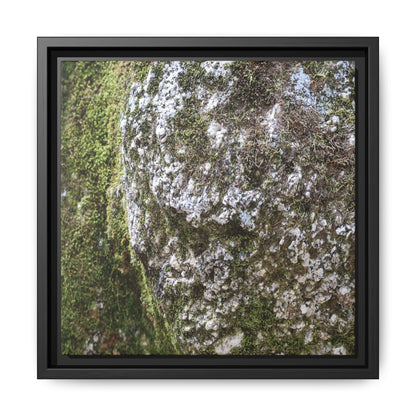 Lichen Landscape - Unique Stretched Canvas Wall Art - Art By Earth