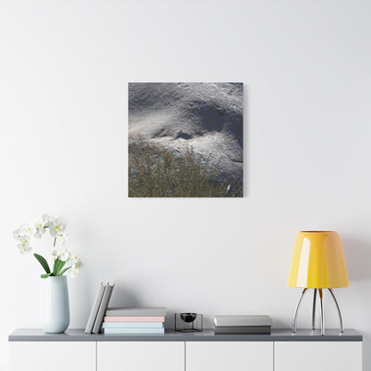 Stone Face in Nature - Unique Frameless Canvas Wall Art