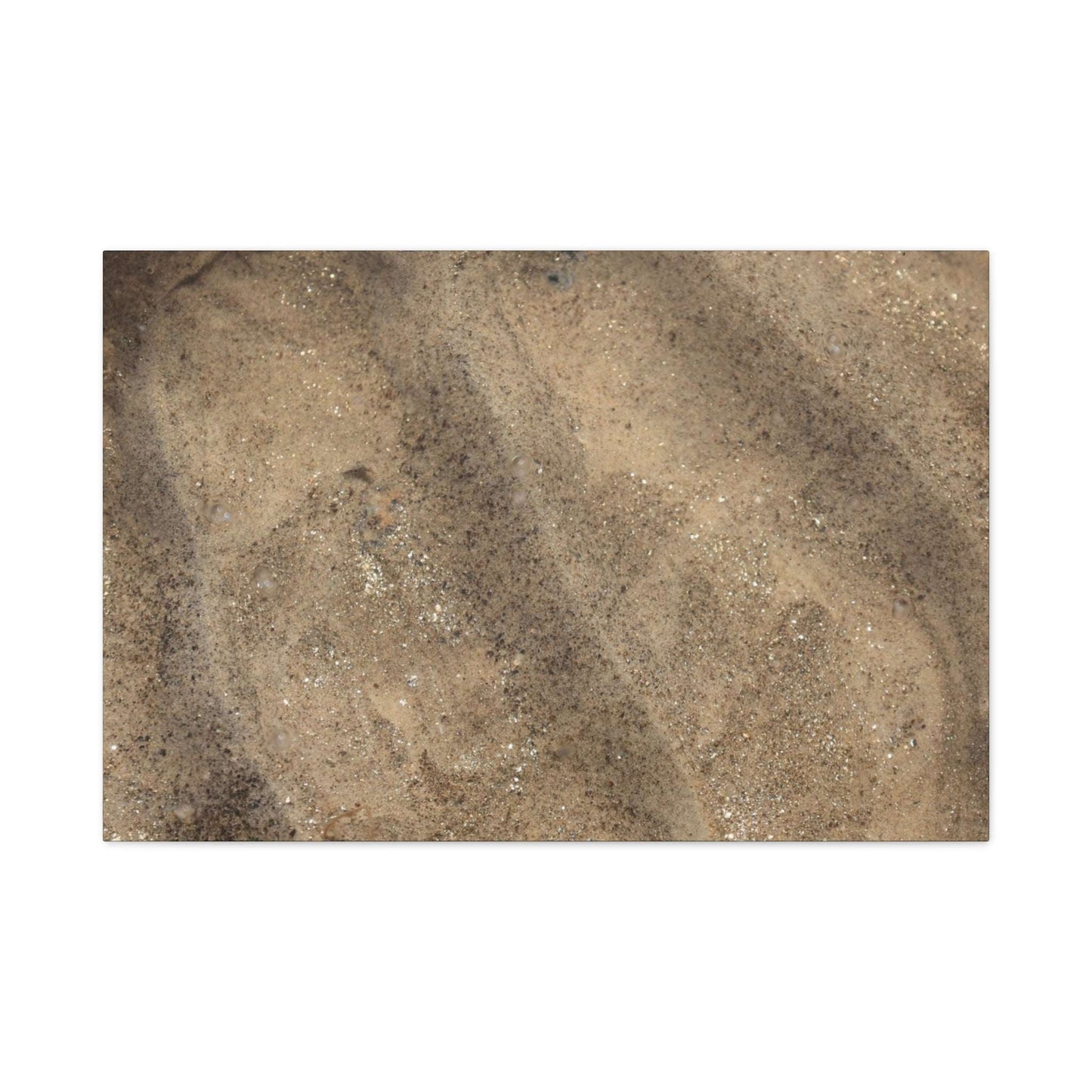 Shallow Waters - Unique Frameless Canvas Wall Art - Art By Earth