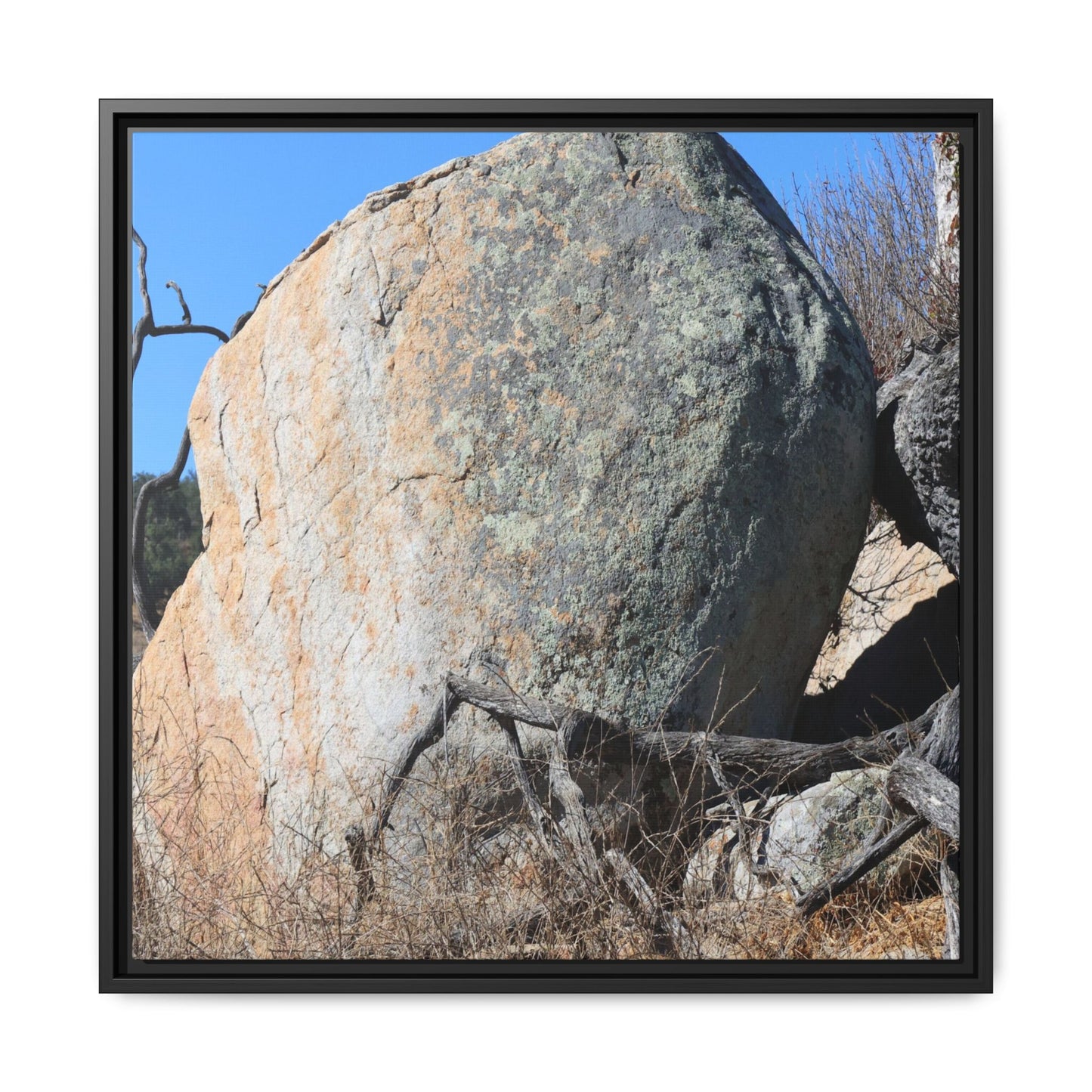 Stony Sentinel - Unique Stretched Canvas Wall Art - Art By Earth