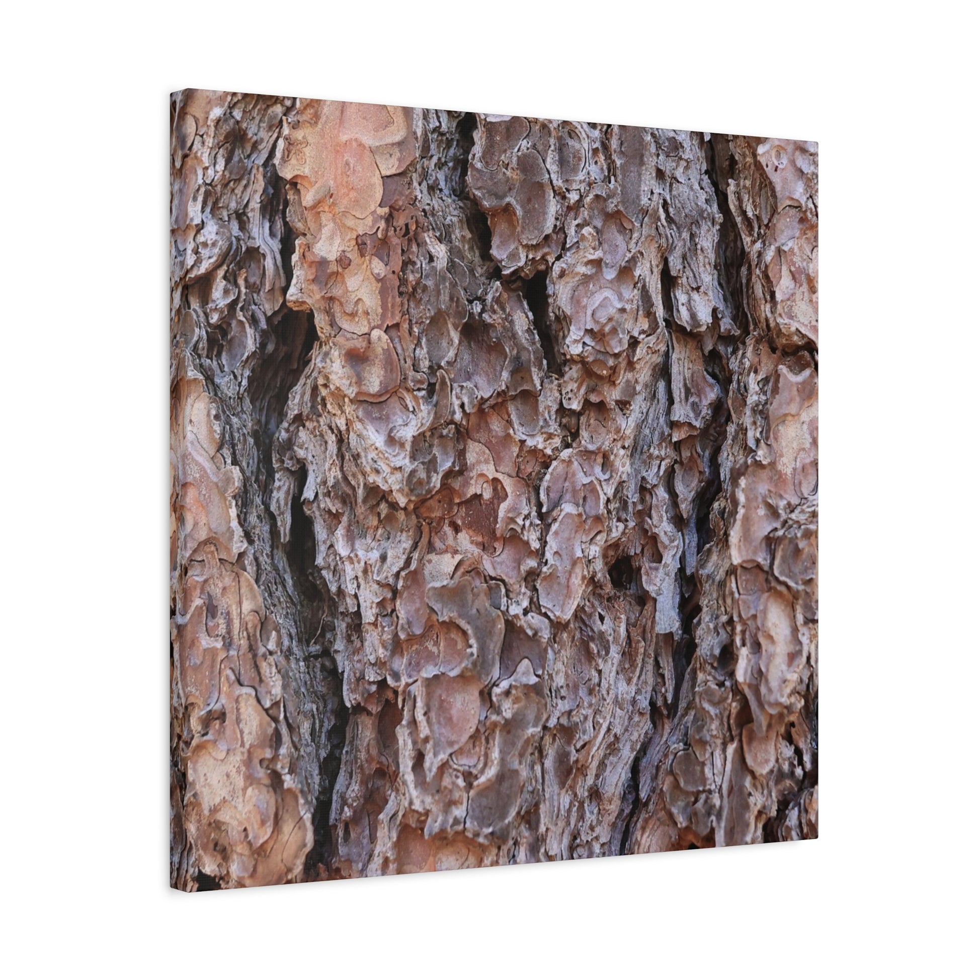 Rough Canvas - Unique Frameless Canvas Wall Art - Art By Earth