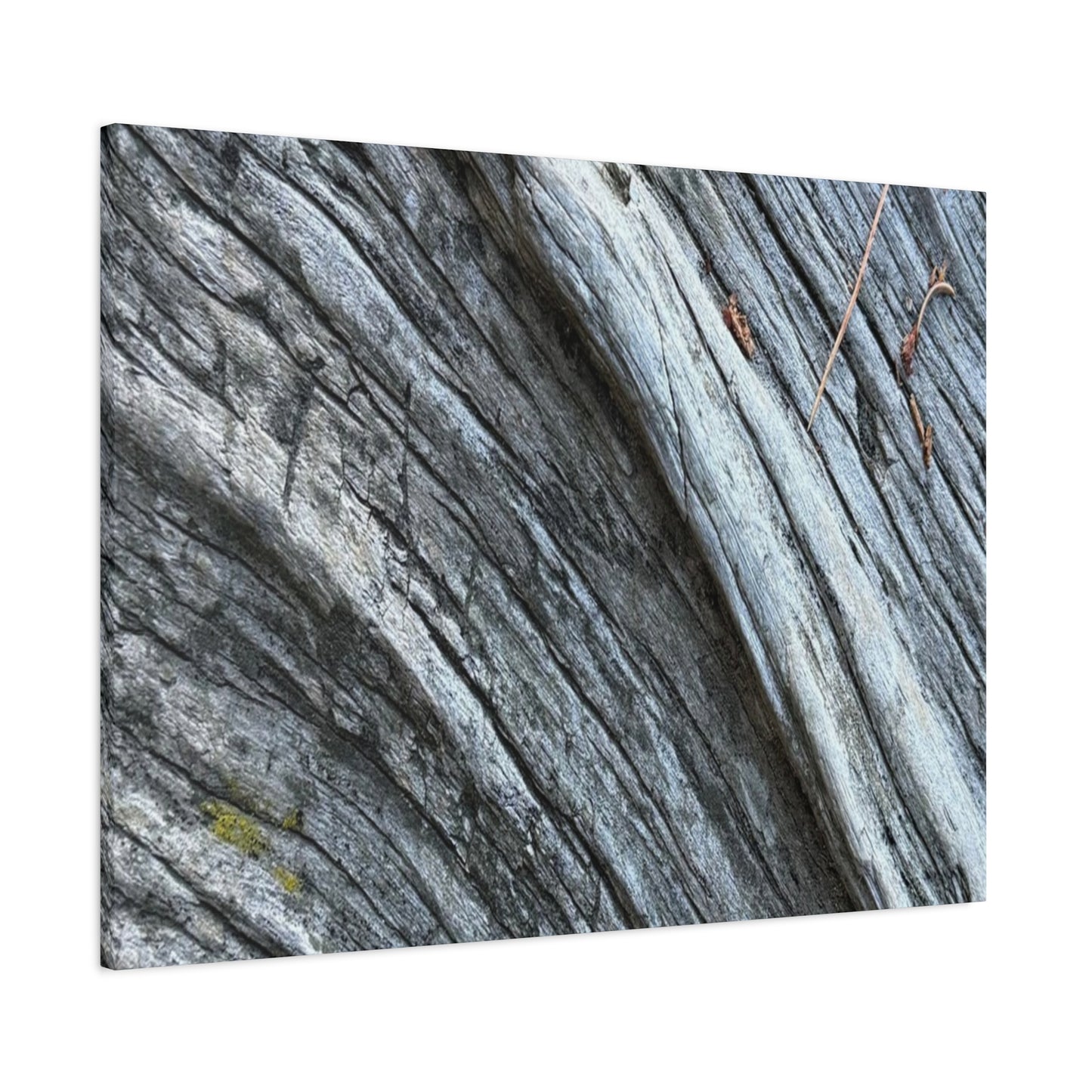 Aged Surface - Unique Frameless Canvas Wall Art - Art By Earth