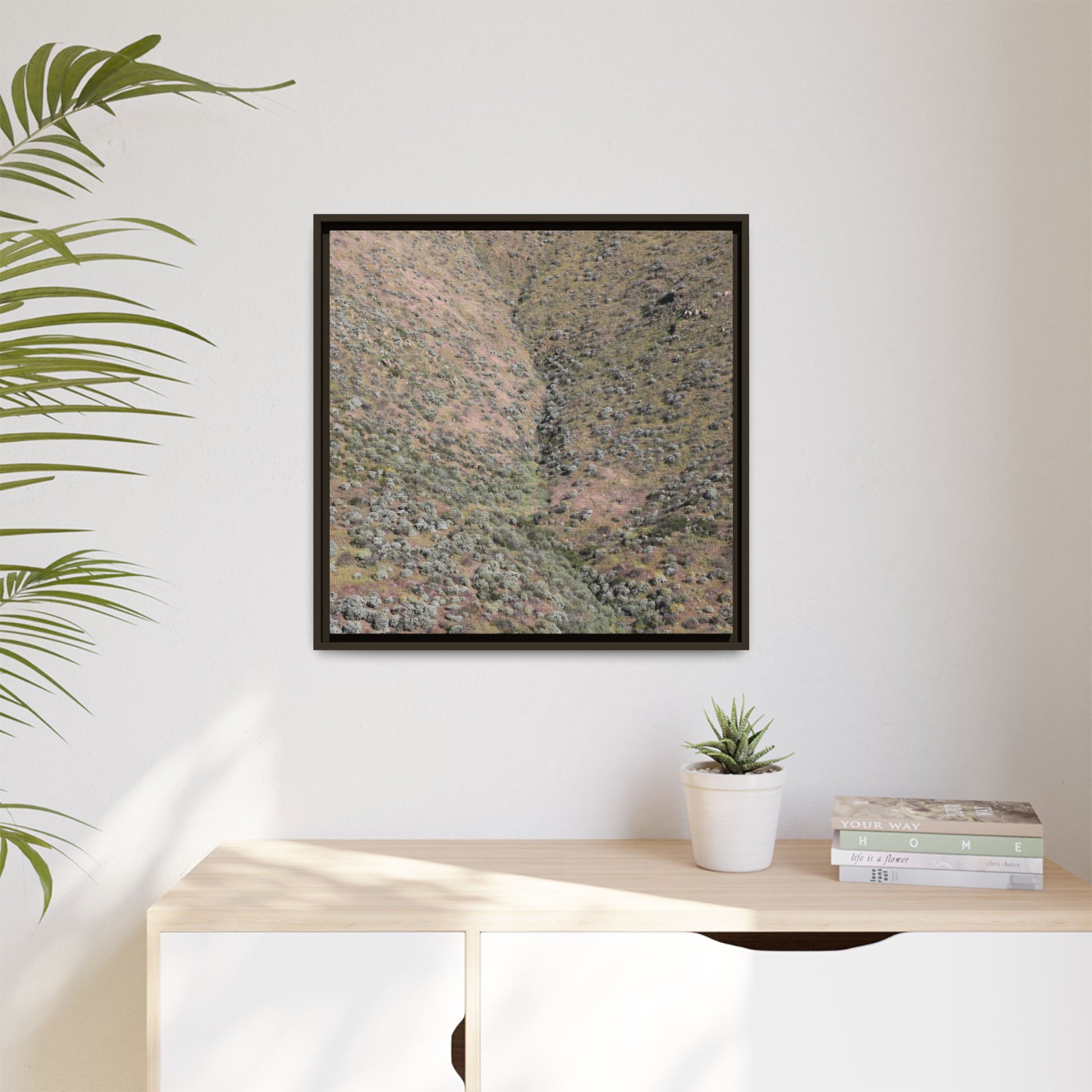 Mountain Slope with Desert Vegetation - Unique Stretched Canvas Wall Art - Art By Earth