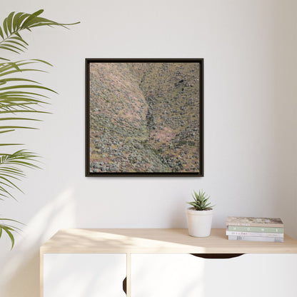 Mountain Slope with Desert Vegetation - Unique Stretched Canvas Wall Art - Art By Earth