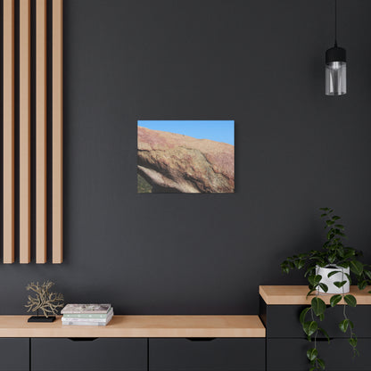 Stone Dreamer - Unique Frameless Canvas Wall Art - Art By Earth