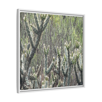 Prickly Paradise - Unique Stretched Canvas Wall Art - Art By Earth