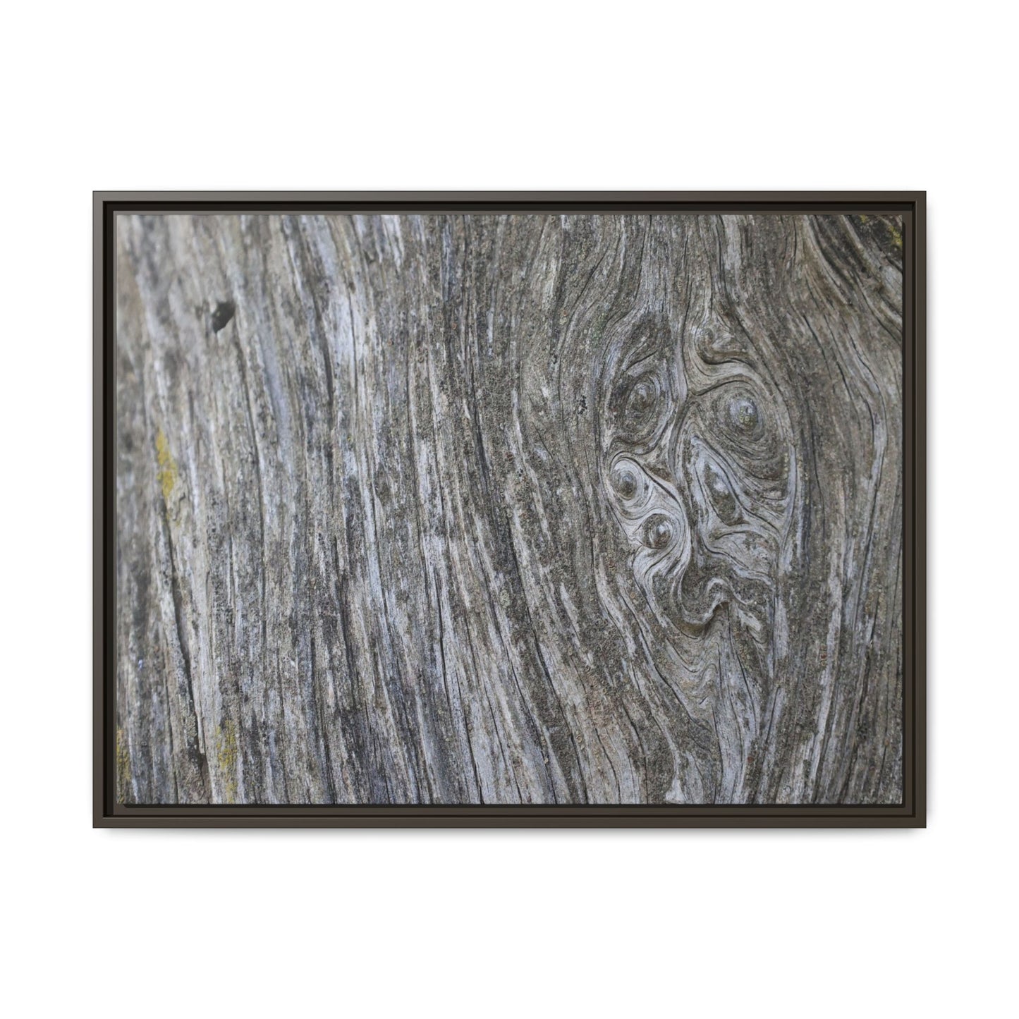 Eternal Knots - Unique Stretched Canvas Wall Art - Art By Earth