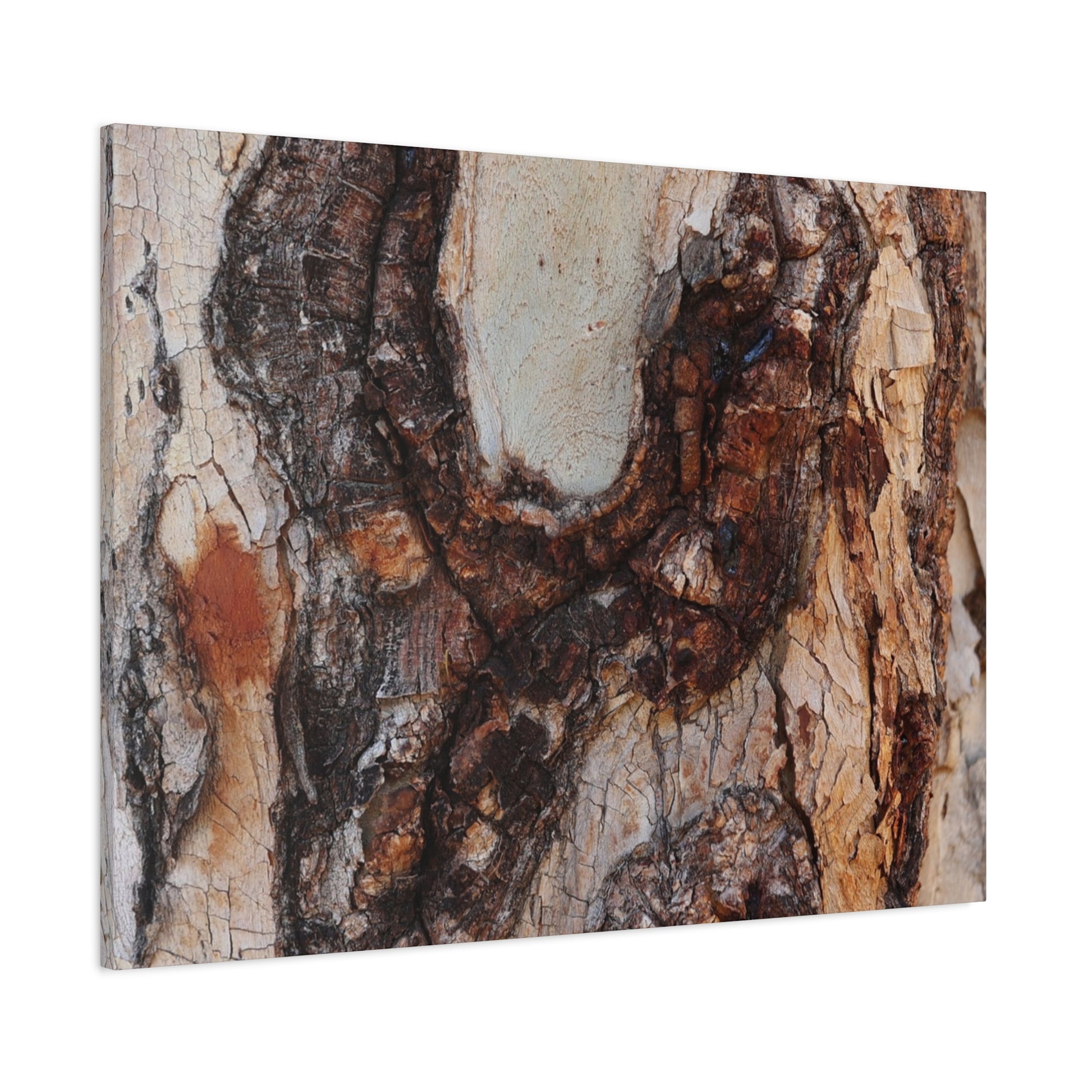 Arboreal Echoes - Unique Frameless Canvas Wall Art - Art By Earth